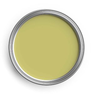 Brush Finish Primrose (10E49)